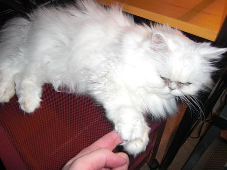 Gazzy 2010-10-11